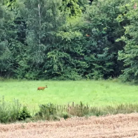 Muehlendrift Inklusive Bettwaesche Und Handtuecher Апартаменты *