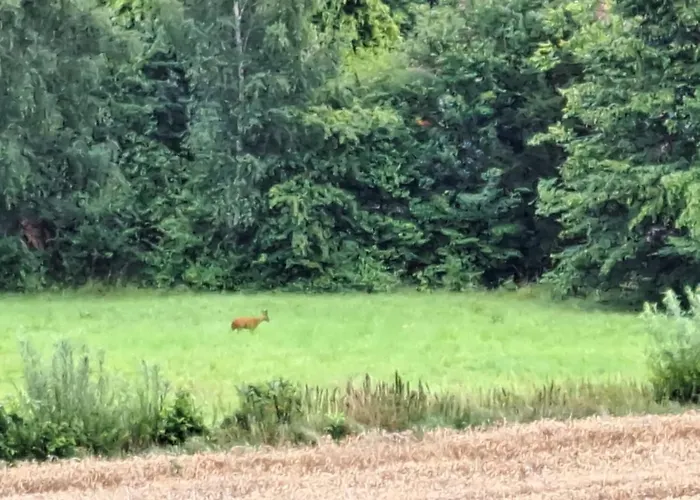 Muehlendrift Inklusive Bettwaesche Und Handtuecher 公寓 *